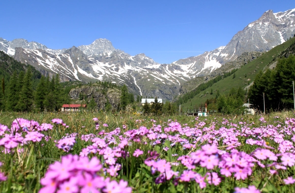 Biodiversità Valli di Lanzo - Parchi e aree protette. Perché certi luoghi sono speciali e hanno bisogno di tutela?